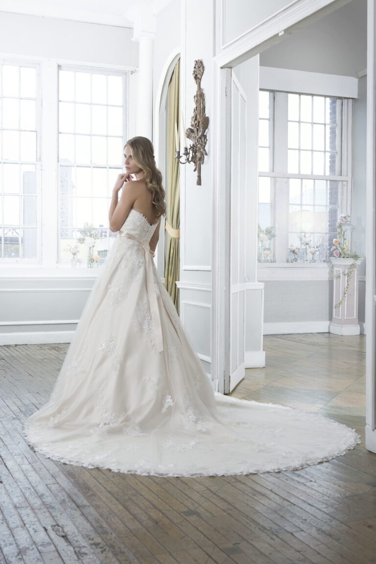 Embroidered Lace and Tulle Ball Gown with Sweetheart Neckline - εικόνα 5