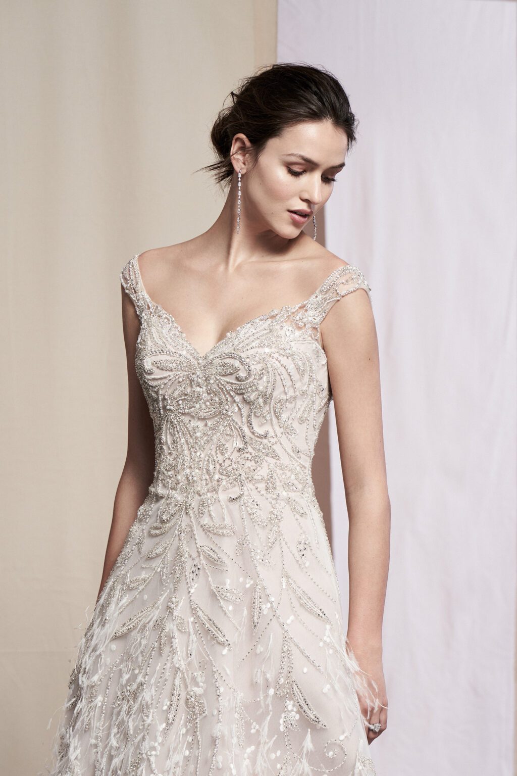 Feather Detail Organza Gown - εικόνα 1
