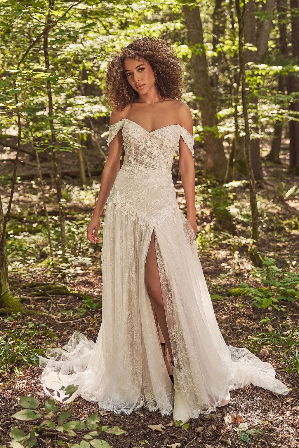 66350 - Chantilly Lace A-Line with Sheer Bodice and Asymmetric Dropped Waist - εικόνα 1